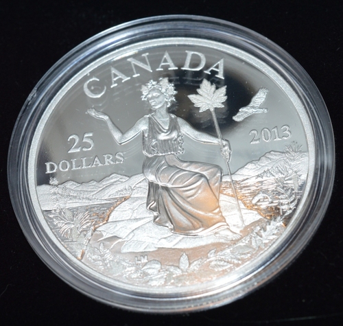 2013 Canada "An Allegory" 1oz Silver - Mintage 8,500