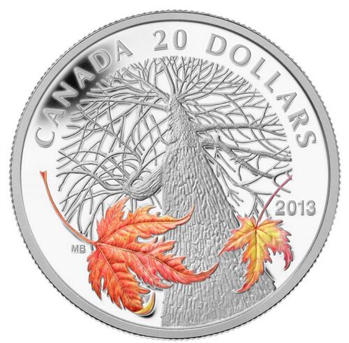 2013 Canada $20 Autumn Maple Canopy Silver Coin