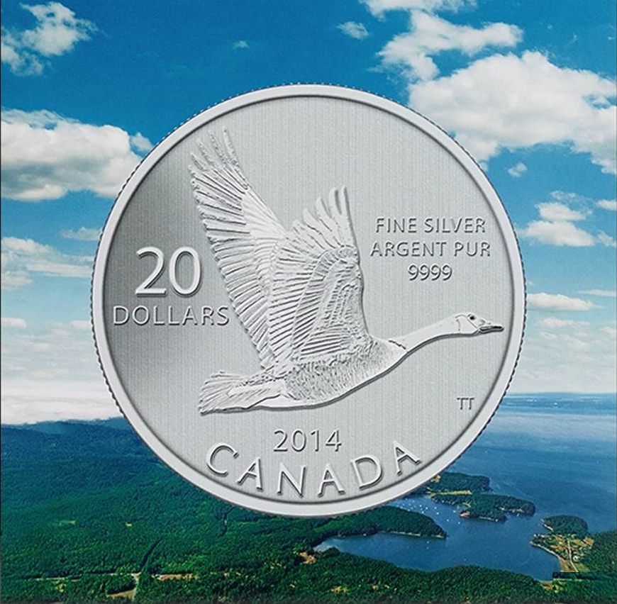 2014 Goose $20 for $20 Fine Silver Coin