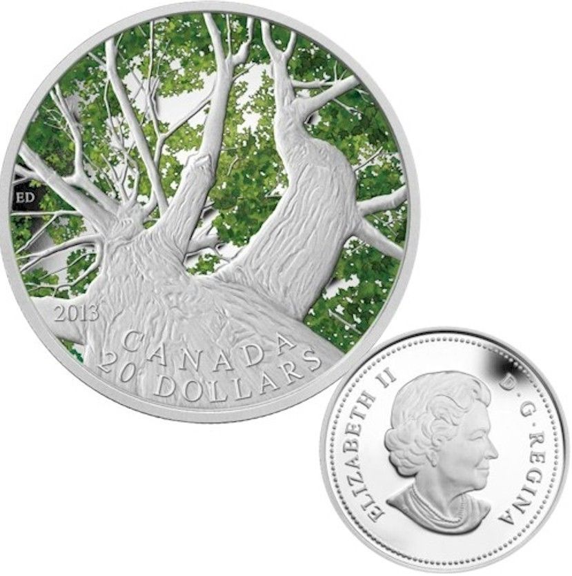 2013 $20 Sping Maple Canopy 1oz Fine Silver Coin