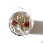 2010 Canada 25-cent Original Roll - Double Poppy (Color)