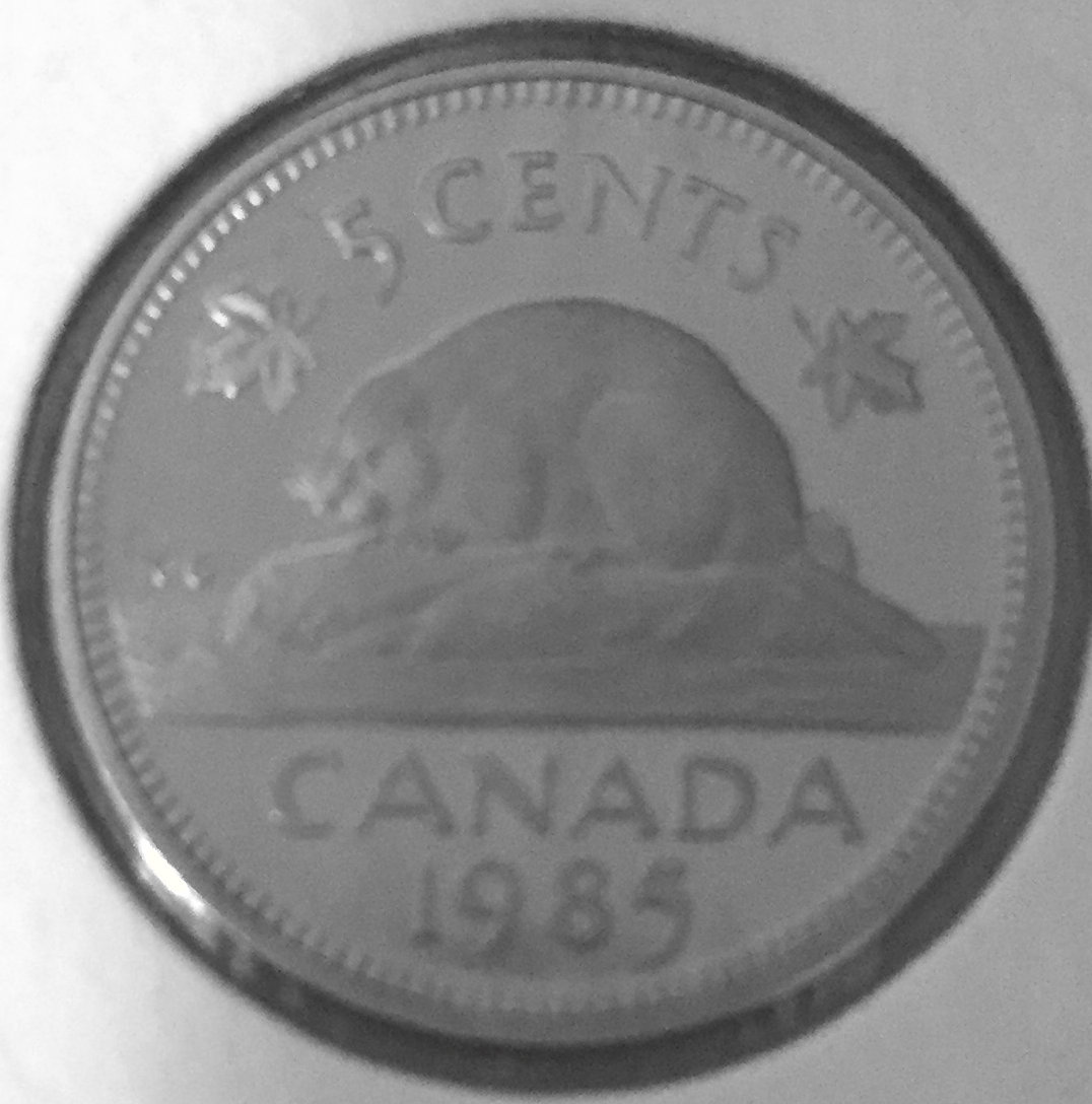 1985 Canada 5-cent Proof with Frosted Finish