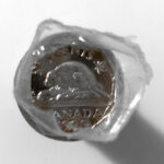 1999 Canada 5-cent Original Roll