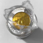 2010 Canada $2 2-dollar Polar Bear Original Roll