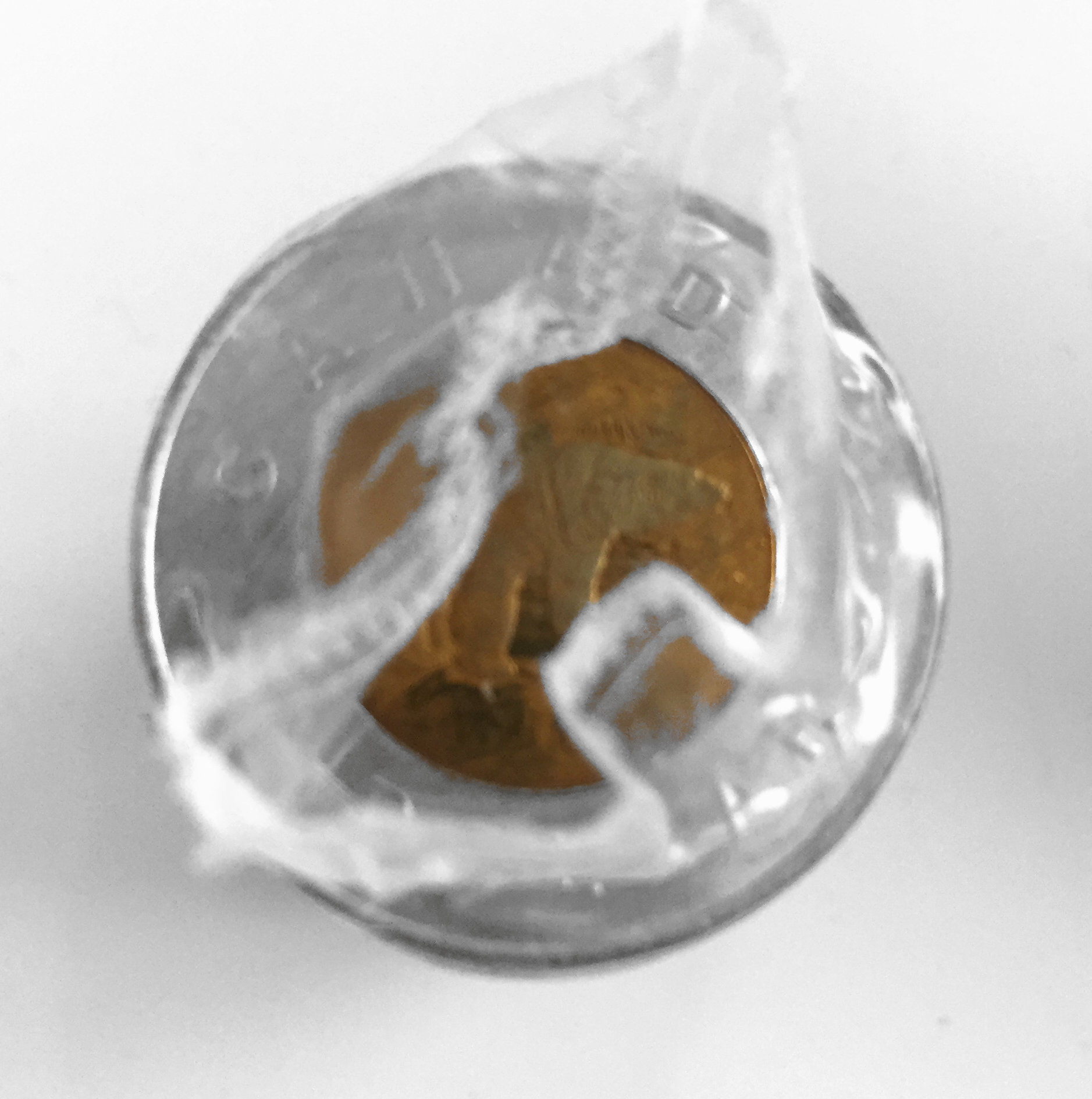 1996 Canada $2 2-dollar Polar Bear Original Roll