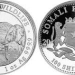 2020 Somalian African Elephant 1oz Fine Silver Coin