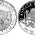 2020 Somalian African Elephant 1oz Fine Silver Coin