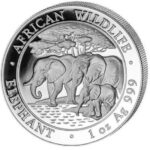 2013 Somalian African Elephant 1oz Fine Silver Coin