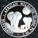 1 x BU 2014 Somalian Elephant 1oz Fine Silver Coin